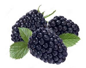 Black Raspberry